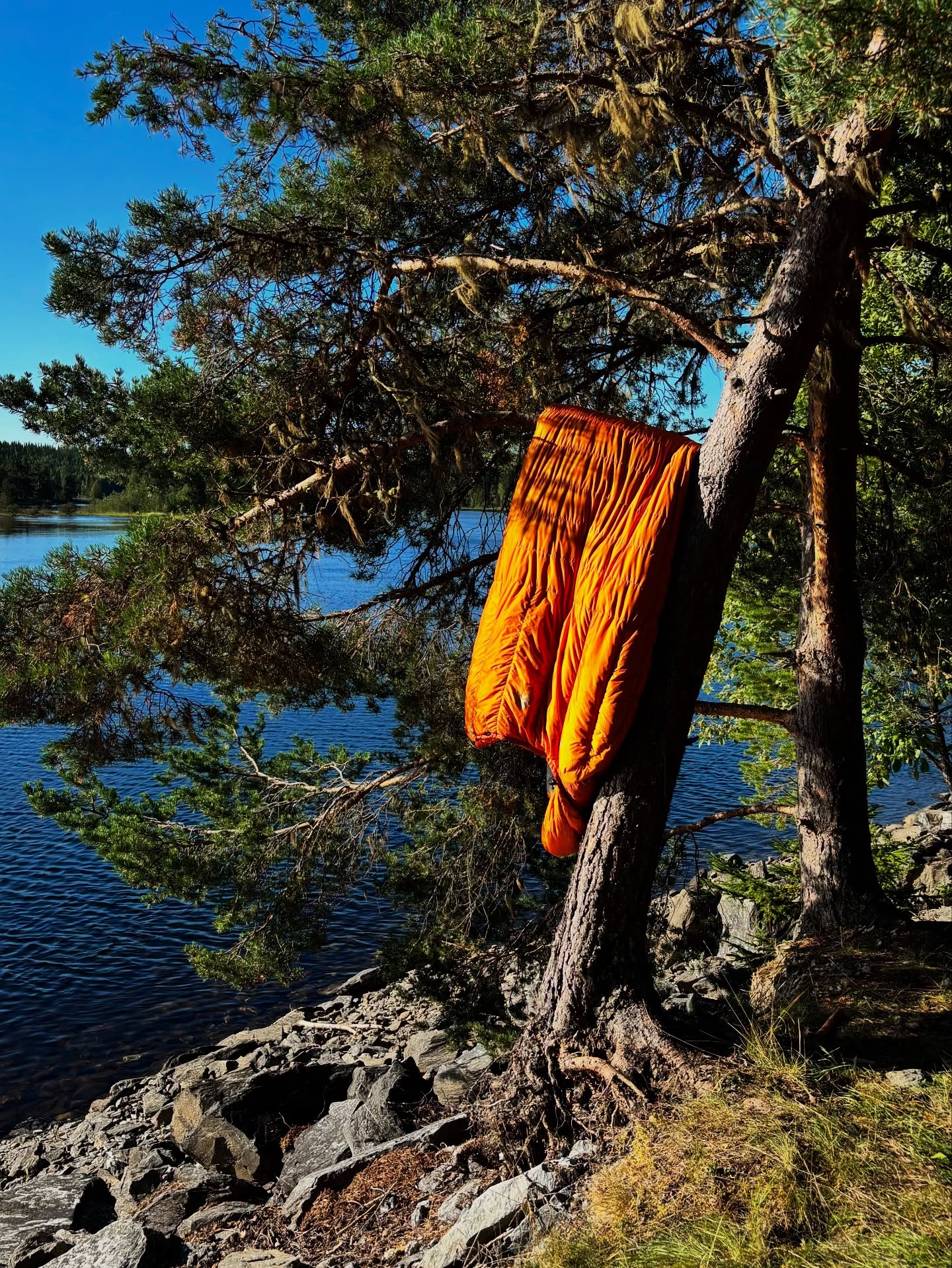 Sleeping bag hanging in a tree by the lake