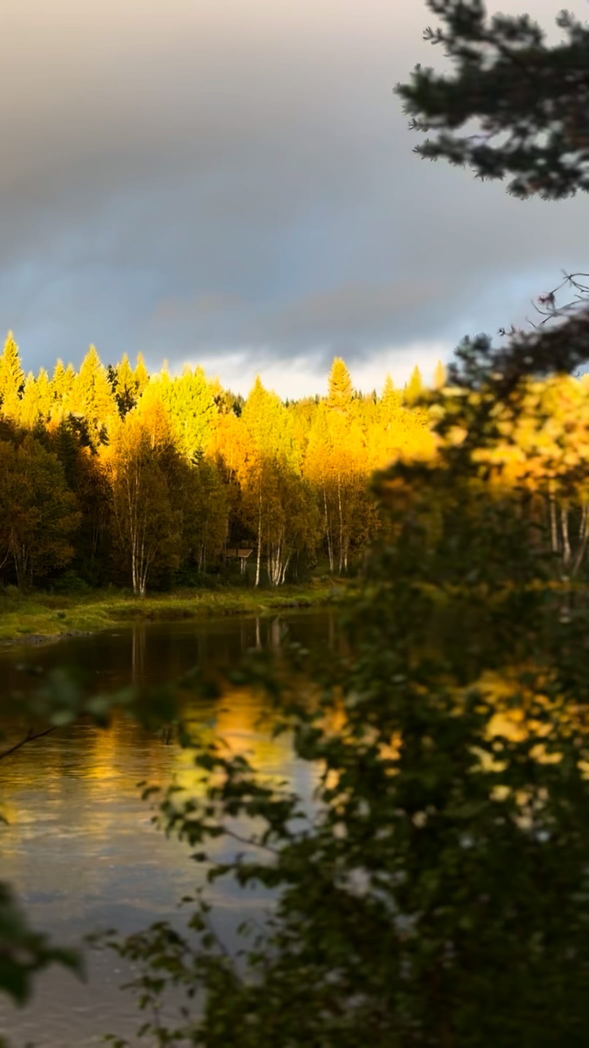 Autumn colors reflected in a lake